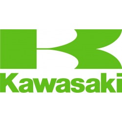 Bavlněné tričko s potiskem KAWASAKI Green